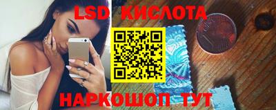 прущие грибы Краснодар