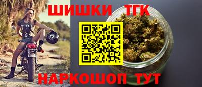 прущие грибы Краснодар