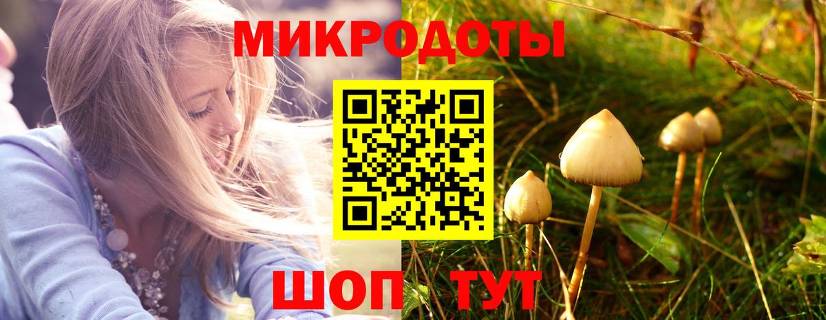 Псилоцибиновые грибы мицелий  где купить   Буйнакск  Вход с VPN 